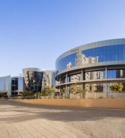 World Learning Saudi Arabia